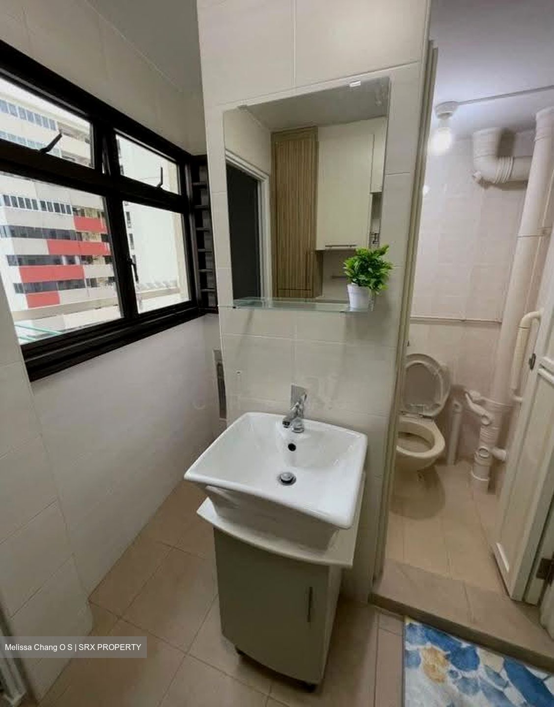 Blk 100 Toa Payoh Palm Spring (Toa Payoh), HDB 3 Rooms #630899081